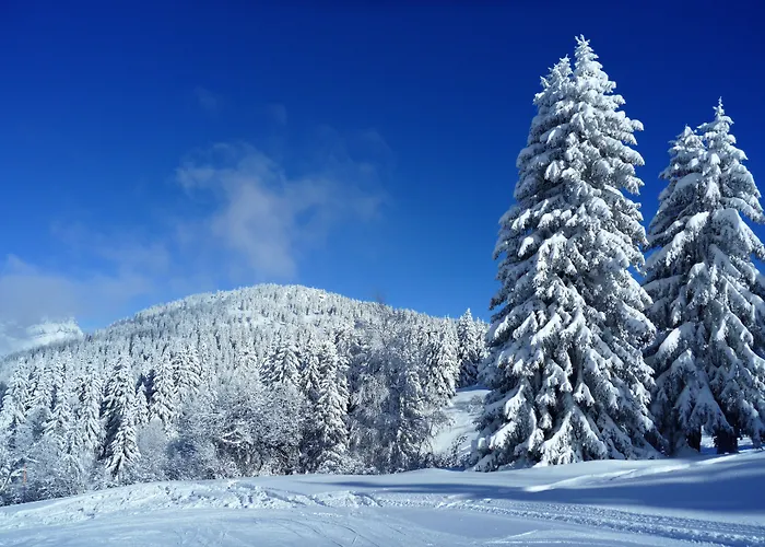 Du Bois Отель 3*