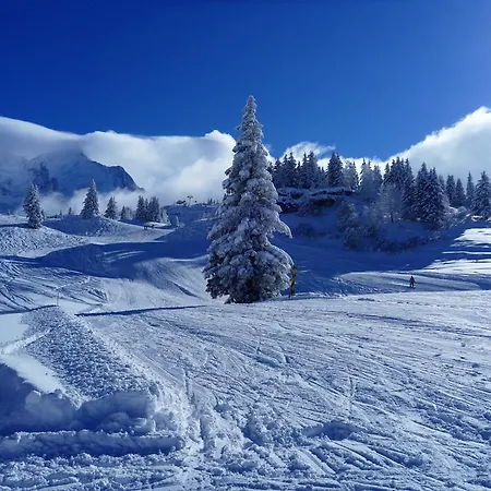 Du Bois 3* Les Houches