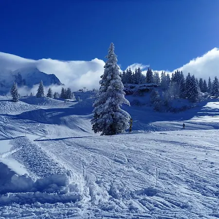 Du Bois 3* Les Houches