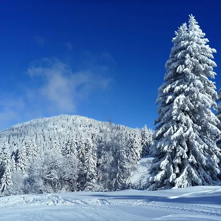 Du Bois Les Houches